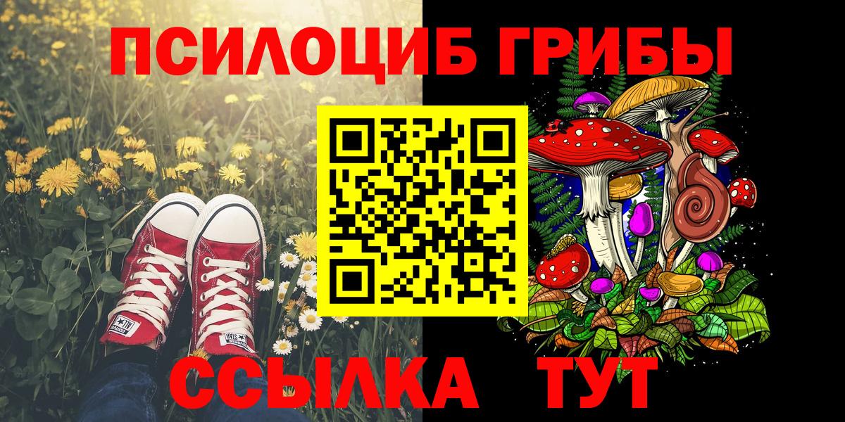 Галлюциногенные грибы прущие грибы Черкесск